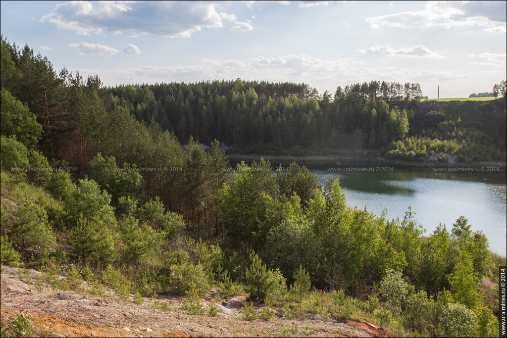 Курьинские карьеры трепелов и опок