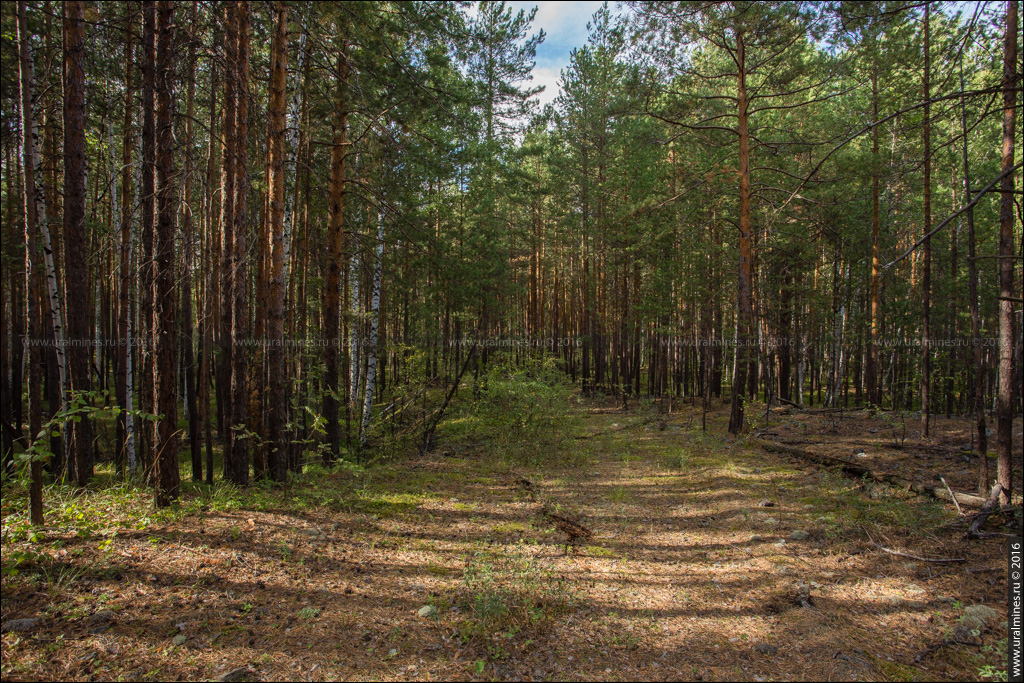 Останинский (Режевской) асбестовый рудник «Спартак»